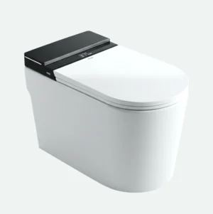 013009 Harrington Smart Commode